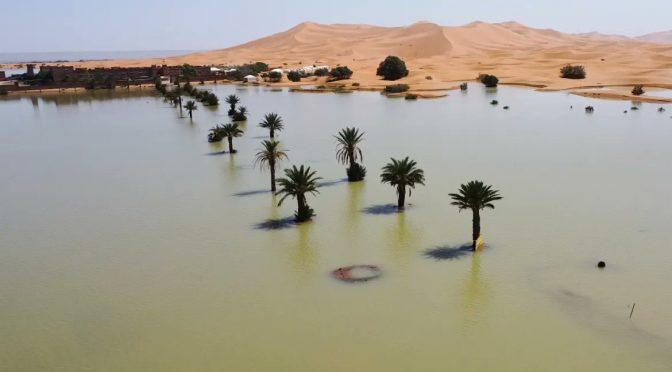 Mundo-Desierto del Sahara bajo el agua; lluvias atípicas generan inundaciones por primera vez en 50 años (El Universal)