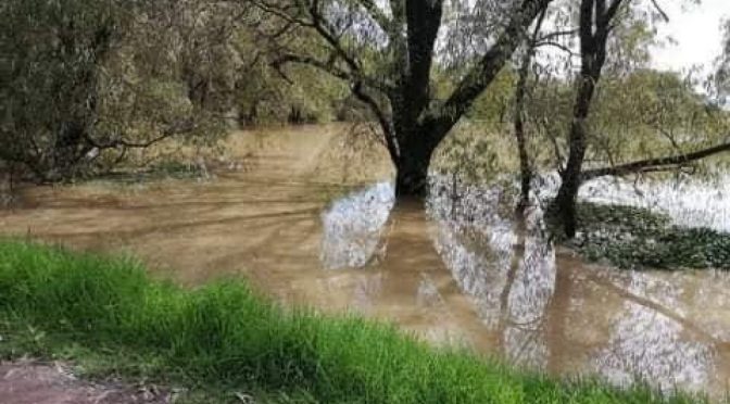 Estado de México – Denuncian contaminación del agua en el Edomex (Quadratín Edomex)