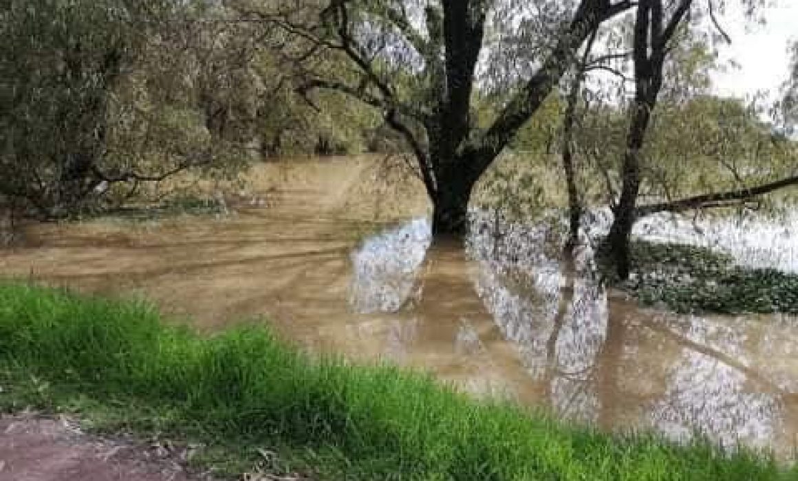 Estado de México – Denuncian contaminación del agua en el Edomex (Quadratín Edomex)