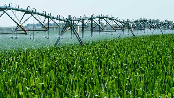 Ciudad de México – Refuerza su compromiso con el agua y la sostenibilidad (Noticias NEO)