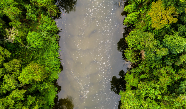 Internacional – 7 datos sobre la crisis mundial del agua y la resiliencia hídrica que los líderes de la COP29 deben saber (World Economic Forum)