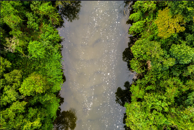 Internacional – 7 datos sobre la crisis mundial del agua y la resiliencia hídrica que los líderes de la COP29 deben saber (World Economic Forum)