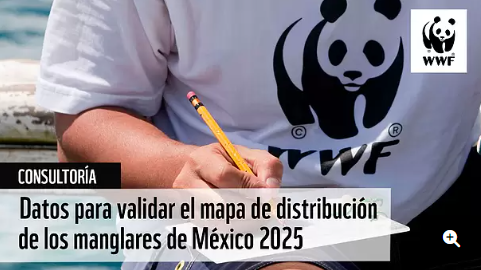 Consultoría: Datos para validar el mapa de distribución de los manglares de México 2025 (WWF México)