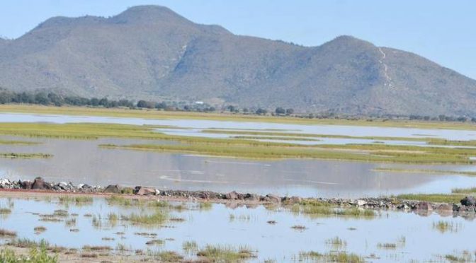 Tlaxcala – Hay disponibilidad de agua para pesca y agricultura en embalses y jagüeyes (El Sol de Tlaxcala)