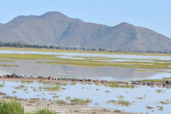 Tlaxcala – Hay disponibilidad de agua para pesca y agricultura en embalses y jagüeyes (El Sol de Tlaxcala)