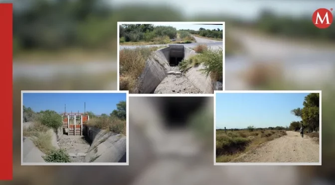 Durango – Población y agroindustria viven “guerra” por agua en Tlahualilo (Milenio)