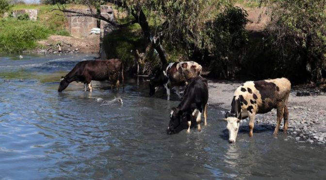 Puebla-Pobladores no dejan de utilizar agua del río Atoyac pese a su contaminación, es su única opción (El Sol de Puebla)