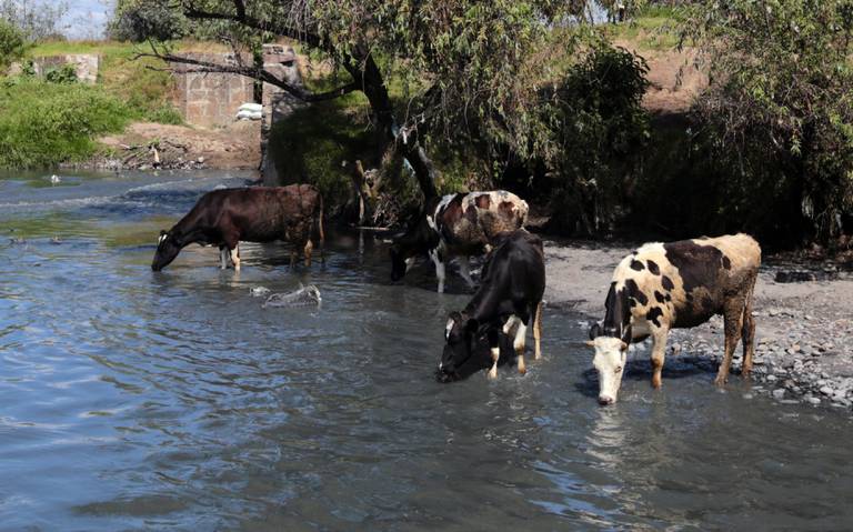 Puebla-Pobladores no dejan de utilizar agua del río Atoyac pese a su contaminación, es su única opción (El Sol de Puebla)