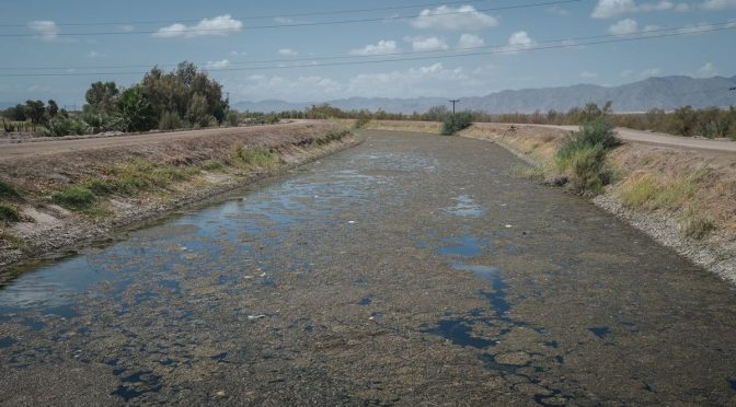 Baja California Norte – Campesinos de Mexicali aceptan parar producción para cuidar el agua de los Estados Unidos (Pie de Página)