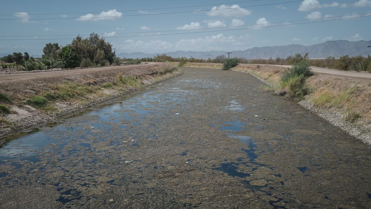 Baja California – Campesinos de Mexicali aceptan parar producción para cuidar el agua de los Estados Unidos (Pie de Página)