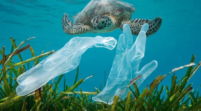 Mundo-Crean el primer plástico que se descompone por completo en el agua de mar en solo unas horas (ABC News)