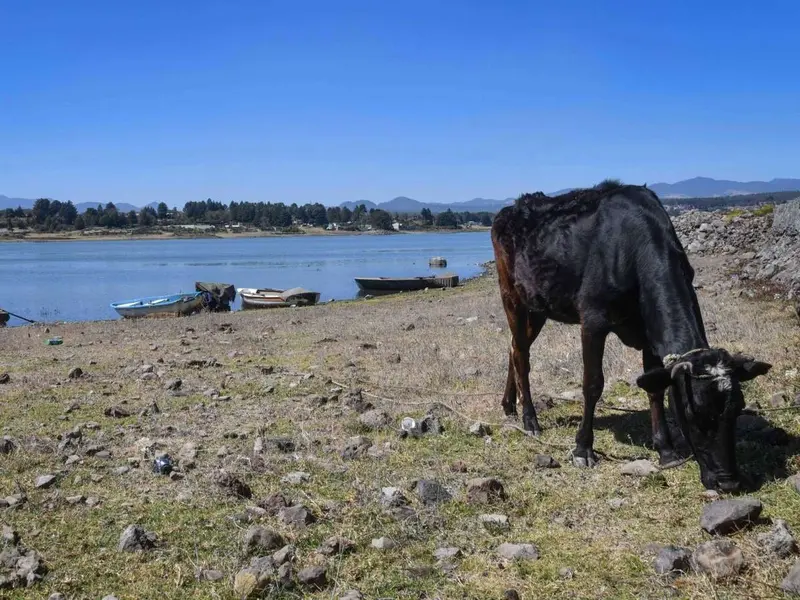 Tamaulipas – Proyecto para garantizar agua en Tampico es una urgencia para el 2025: CIEST (Milenio)