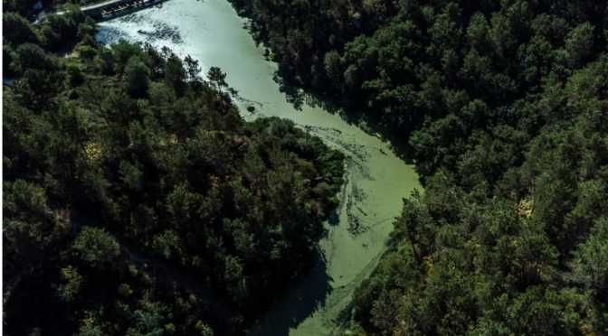 Internacional – Inundaciones y falta de agua, efectos de los cambiantes caudales fluviales en el Mundo (El Comentario)