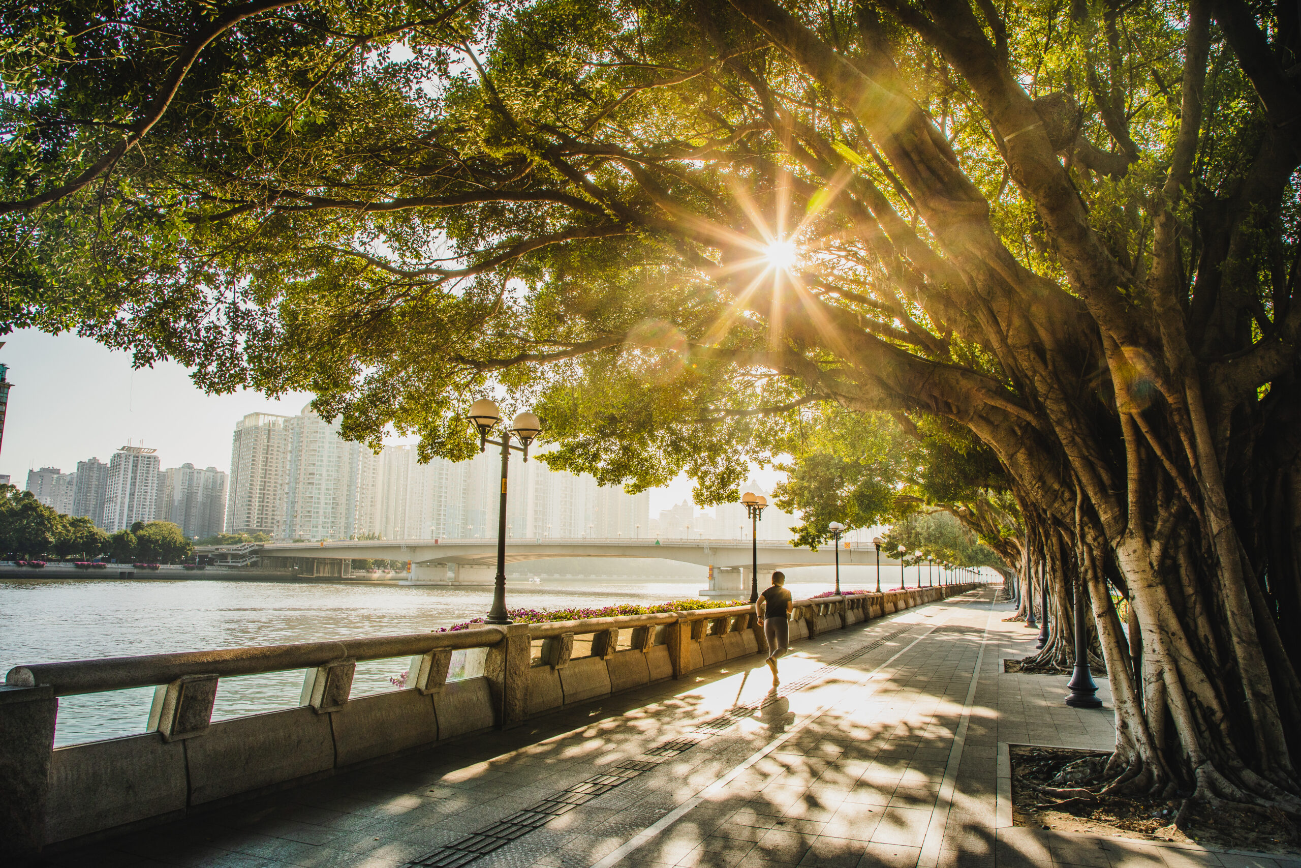 Mundo – Agua, calor y naturaleza (C40 Cities)