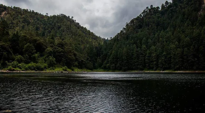 Estado de México – Edomex buscará declarar al ‘Bosque de Agua’ como reserva hídrica de Seguridad Nacional (El Sol de Toluca)