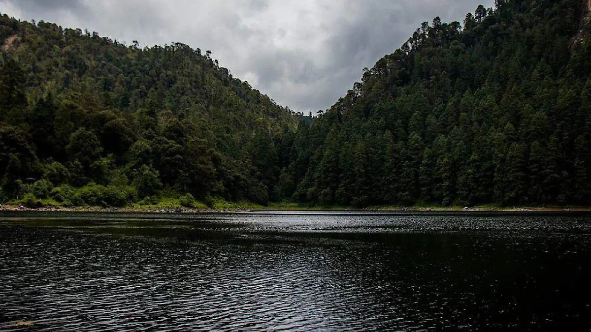 Estado de México – Edomex buscará declarar al ‘Bosque de Agua’ como reserva hídrica de Seguridad Nacional (El Sol de Toluca)