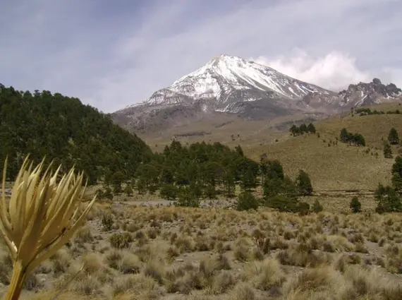 Mundo – Día Internacional de las Montañas y su relevancia para el agua dulce (Imagen Radio)