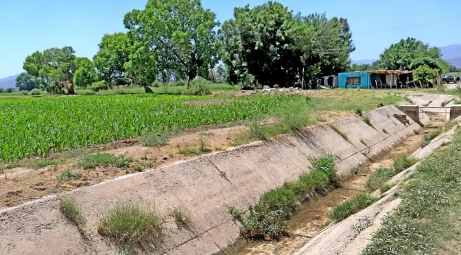 Durango – Cultivos afectados al no recibir volumen asignado en Agua Saludable (Milenio)