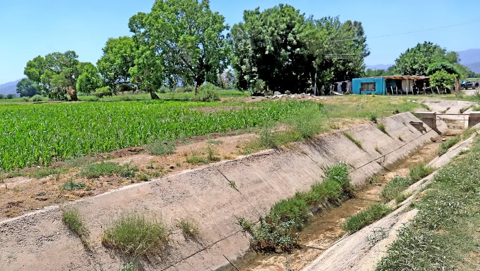 Durango – Cultivos afectados al no recibir volumen asignado en Agua Saludable (Milenio)