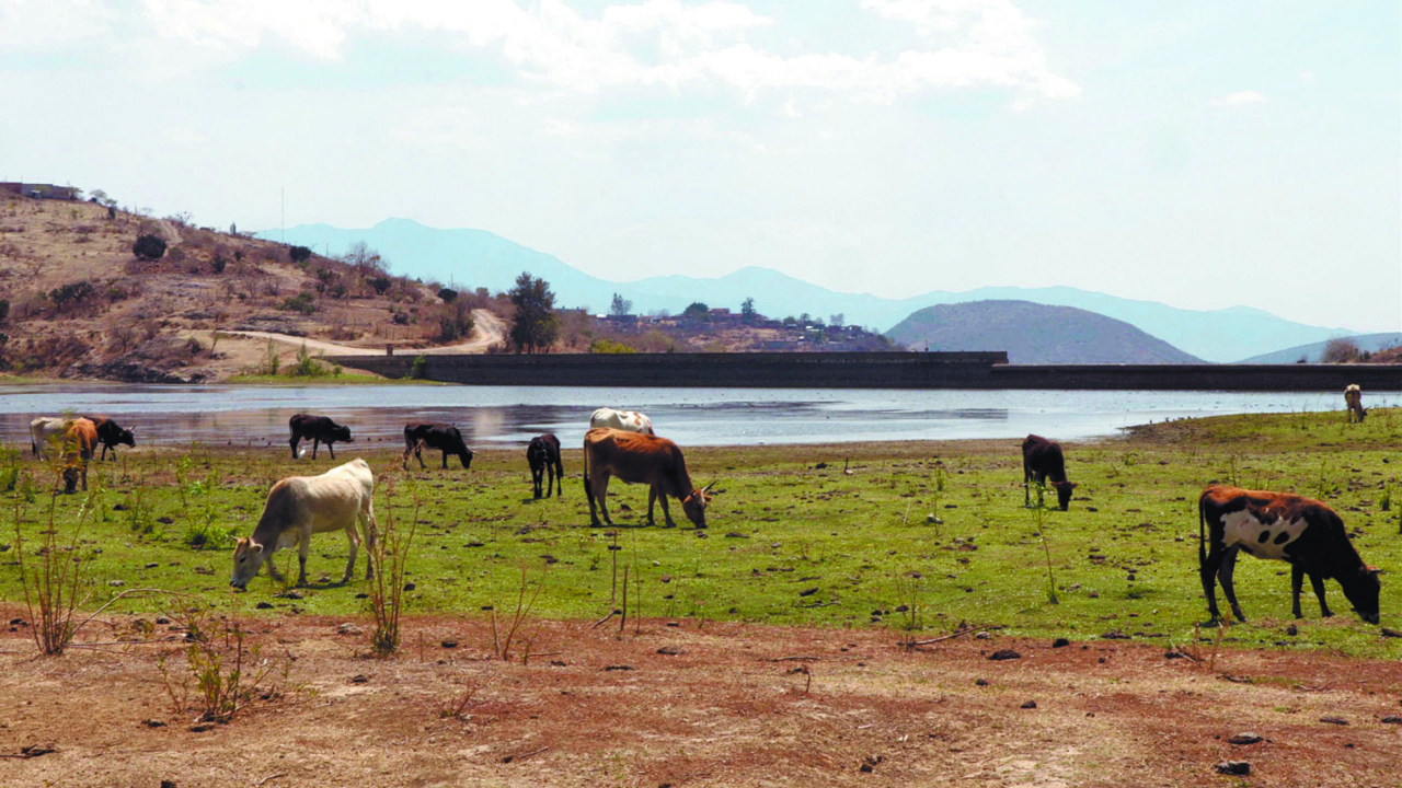 Querétaro – Presas de Querétaro reportan 53% de almacenamiento (El Economista)