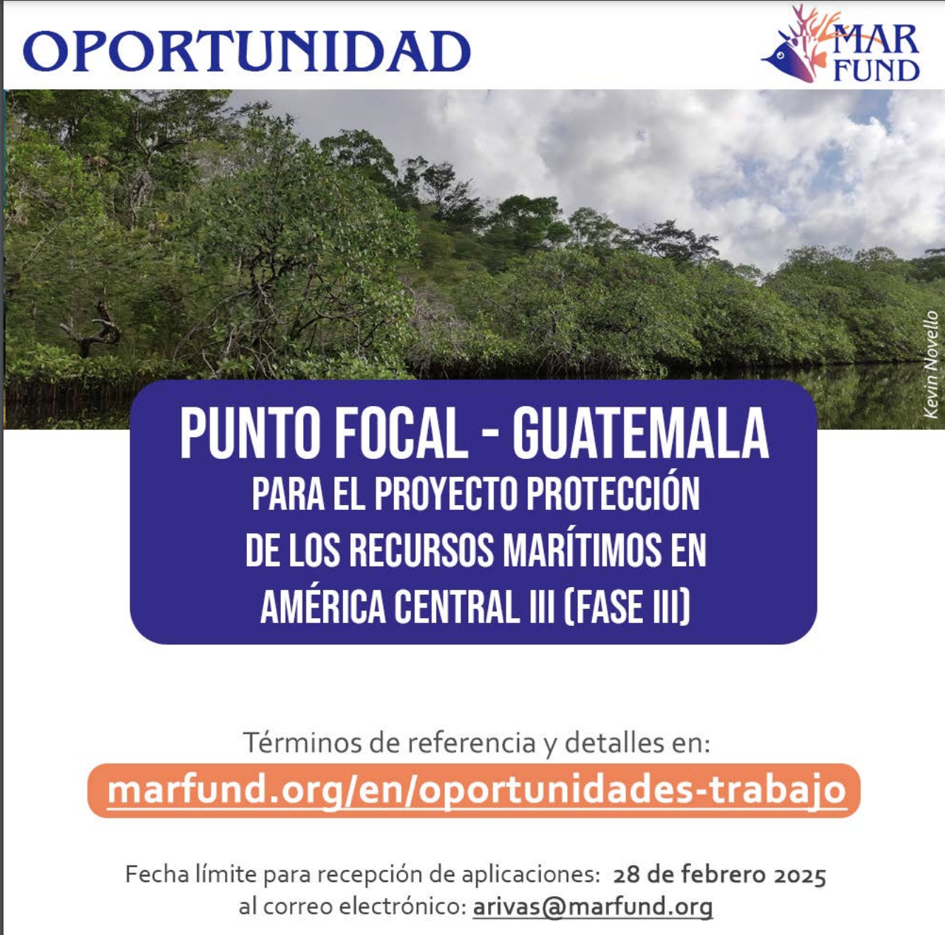 Vacante – Proyecto en Punto focal en Guatemala (Mar Fund)