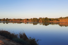 México-Crisis de agua y deuda con Estados Unidos ya pega a producción de maíz en México, advierte la ONU (UNO Tv)