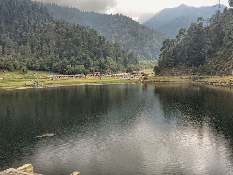 México – Bosque de Agua, fundamental para abasto de agua en Valle de México: Profepa (IMER)