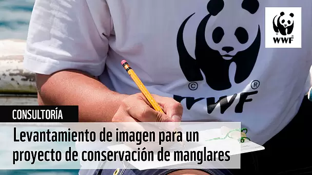 Vacante – Levantamiento de fotografía y video para un proyecto de conservación de manglares (WWF)