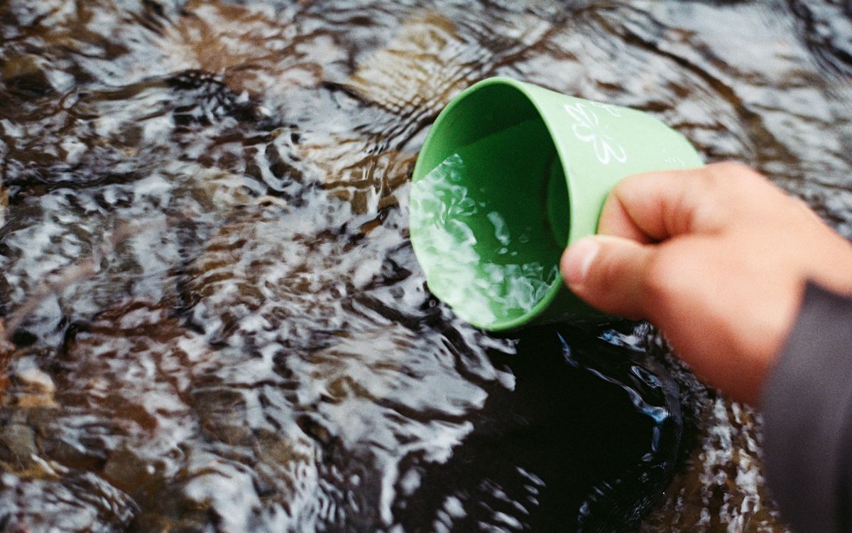 México – Plan Nacional de Desarrollo prioriza agua, biodiversidad y clima: Alicia Bárcena (Aristegui noticias)