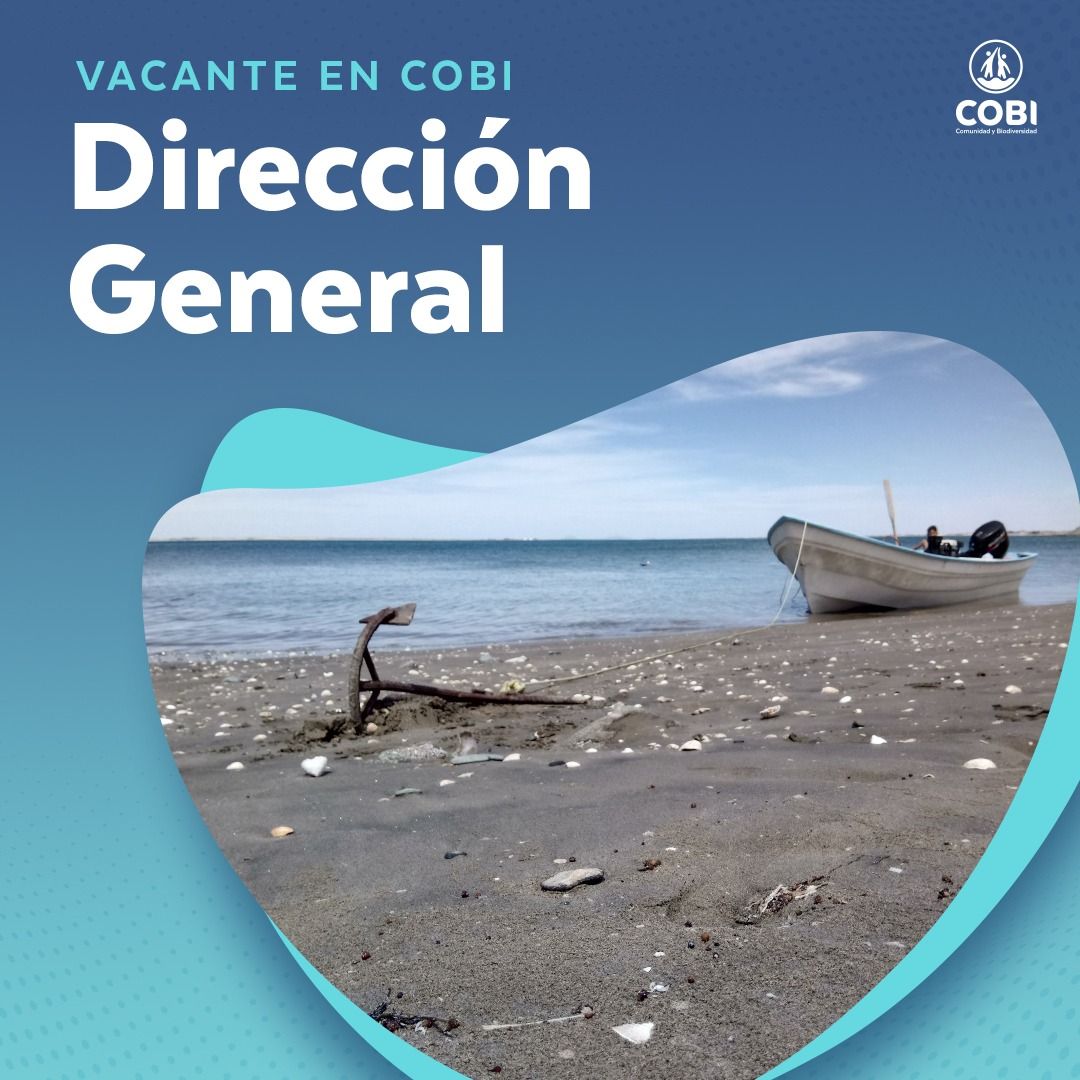 Vacante – Director (a) General para la organización Comunidad y Biodiversidad A.C (COBI)