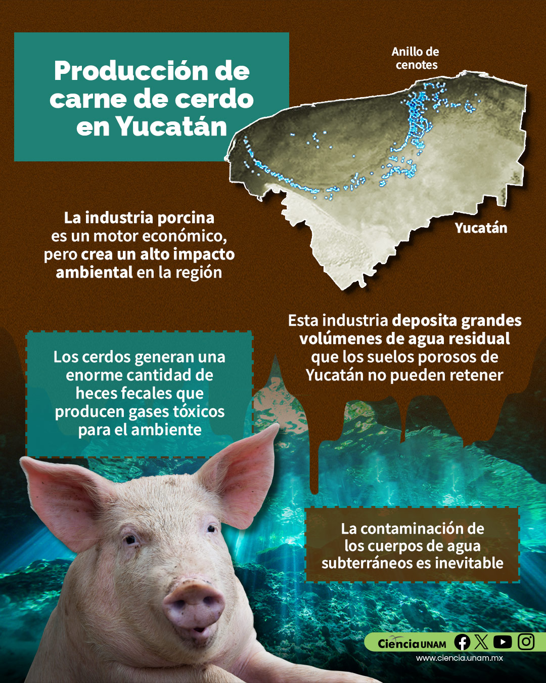 Agua
