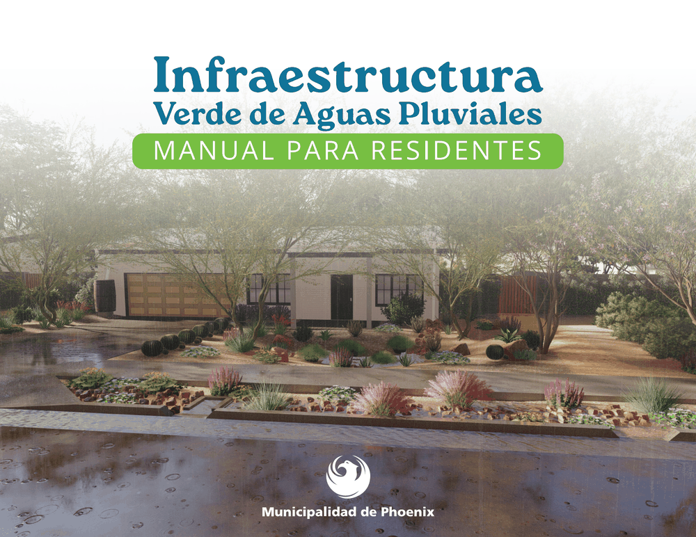 Cómo usar y recolectar agua de lluvia: Ciudad de Phoenix publica manual en español (Telemundo)