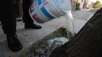 Coahuila – Detectan descargas irregulares de agua en vía pública de Saltillo (Milenio)