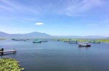 Guadalajara-El agua de Guadalajara, un riesgo para los riñones (Milenio)