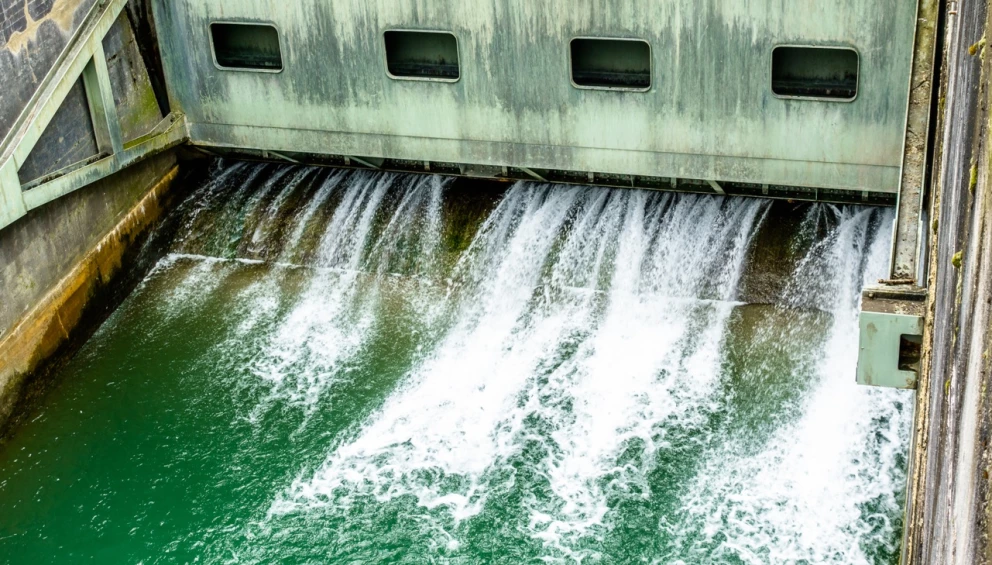 Agua