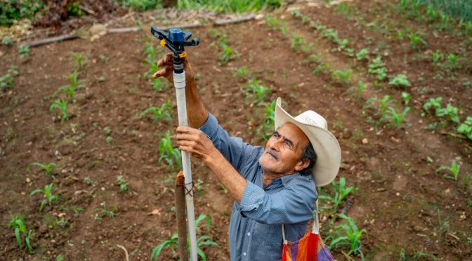 Mundo- El agua que nutre la tierra y da vida a los alimentos (Programa mundial de alimentos)