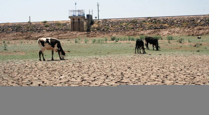 Querétaro – Agua, al 20% en las dos presas principales de Querétaro (El Economista)