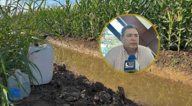 Sinaloa – Cierran riegos agrícolas en el norte de Sinaloa para garantizar el agua para consumo humano (Luz Noticias)