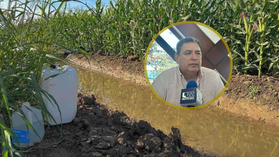 Sinaloa – Cierran riegos agrícolas en el norte de Sinaloa para garantizar el agua para consumo humano (Luz Noticias)