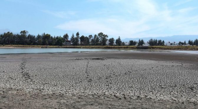 México – Conagua aumenta porcentaje de áreas con sequía en el país (MVS Noticias)