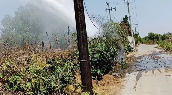 Edomex. – Ruptura de Ramal Teoloyucan afectará abasto de agua en Edomex (La Jornada)