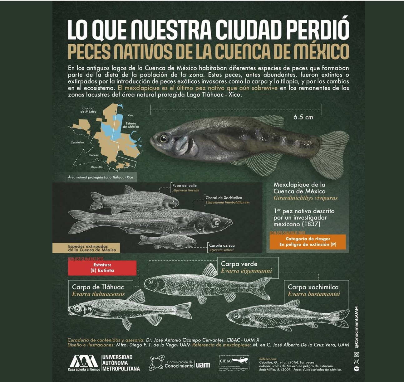 Peces nativos de la cuenca de méxico (UAM)