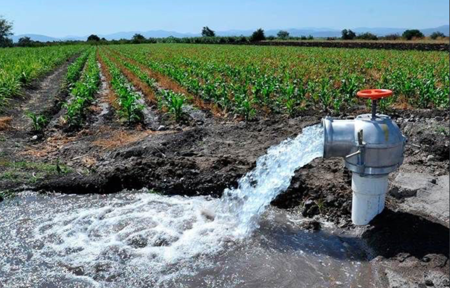 Tamaulipas – Denuncian saqueo de agua en plena crisis hídrica (La Expresión)