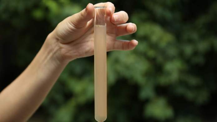 Puebla – Más de una decena de colonias en Puebla reciben agua con una dureza por encima de la norma de 140 mg/L: ASA (La Jornada del Oriente)