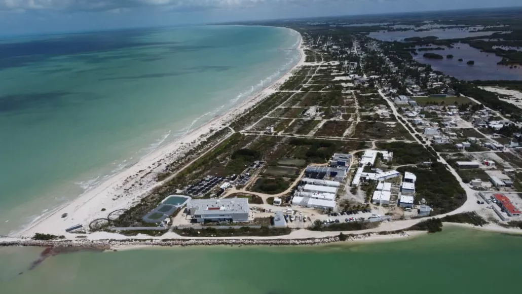 Yucatán- Contaminación del agua y crecimiento de los desarrollos inmobiliarios causan la pérdida de la biodiversidad en Yucatán (Por Esto!)