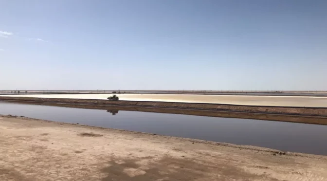 Mundo – Preocupaciones sobre el litio, el agua y el clima en los dos desiertos más altos de la Tierra (Eos)