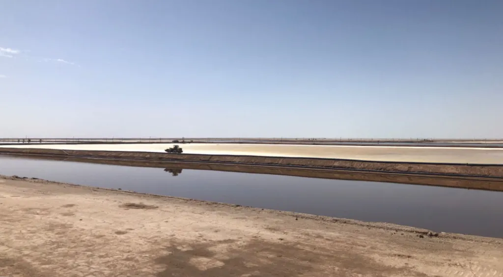 Mundo – Preocupaciones sobre el litio, el agua y el clima en los dos desiertos más altos de la Tierra (Eos)
