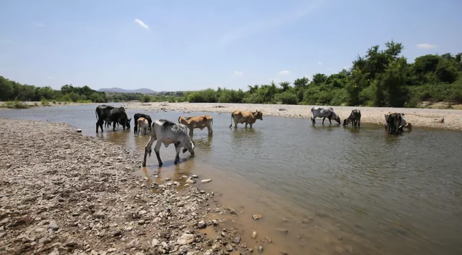 Puebla – Tras la peor sequía en 20 años, vuelve el agua al Río Mixteco pero pobladores temen nueva crisis (El Sol de Puebla)