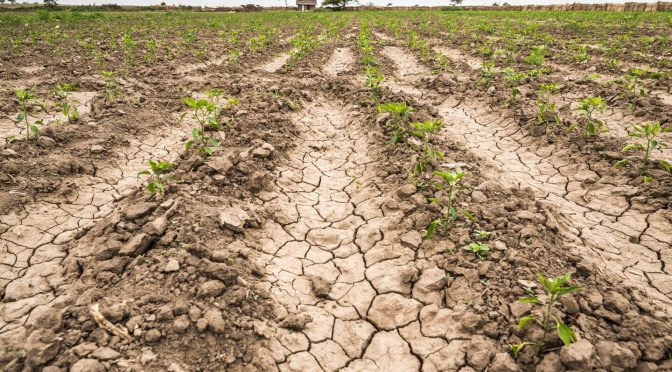 Sinaloa – Sinaloa refuerza acciones contra la sequía con pozos, pipas y bombardeo de nubes (La Crónica)