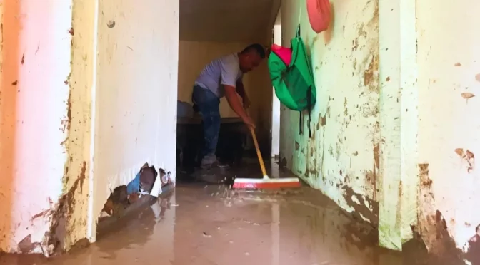 Ciudad Juárez – Inundaciones arrastran animales de granja; familias lo pierden todo (N+)